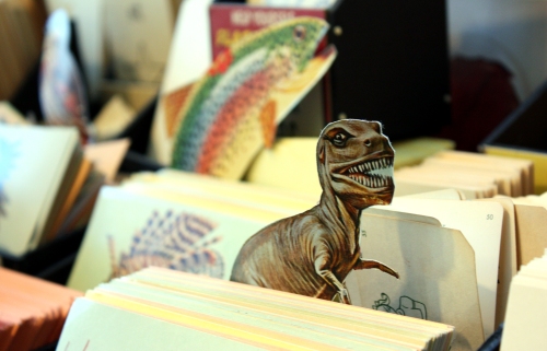 Rarr. Foursided Dino in flashcards display.
