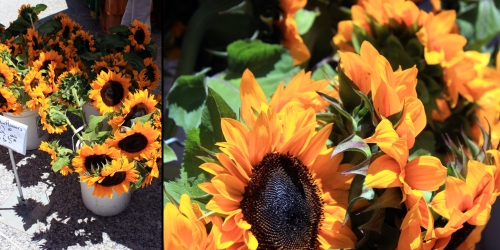 Other Summer happenings at the market include the arrival of many buckets of sunflowers. People go nuts over these. I dare you to find someone on their lunch hour holding a bunch of sunflowers that isn't beaming.